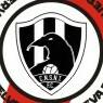 Cuervos