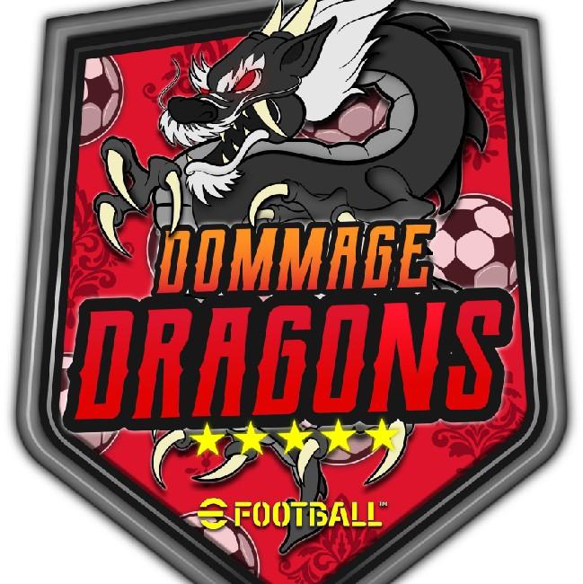 DOMMAGE DRAGONS