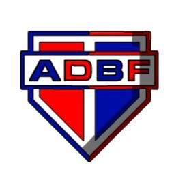 ASSOCIAÇÃO DESPORTIVA BAHIA DE FEIRA DE SANTANA
