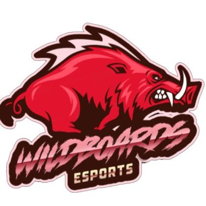 WILDBOARDS