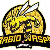 RABID WASPS