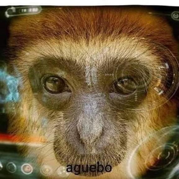 mc) JUAN POCHOCLITO (SUP)