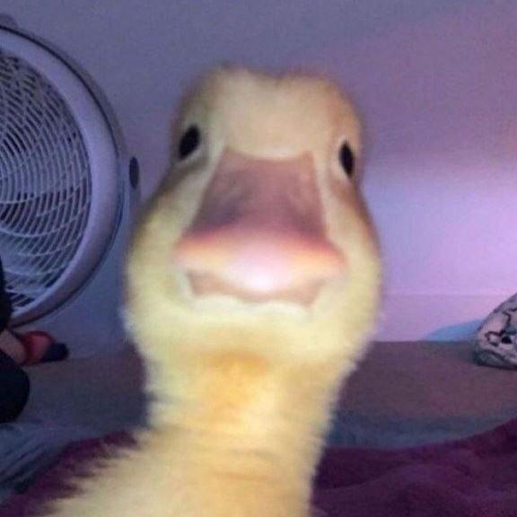 KTK