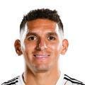 Torreira