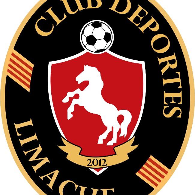 Deportes Limache