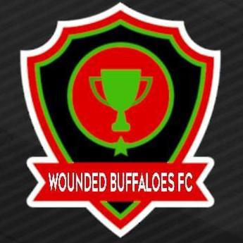 Wounded BUFFALOES