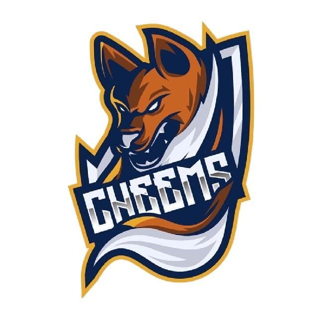 Cheems Esports