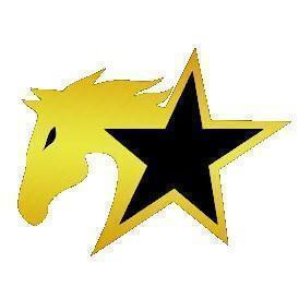 StarHorse Gaming