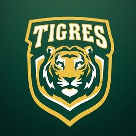 TIGRES
