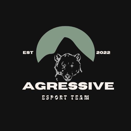 Agressive sport