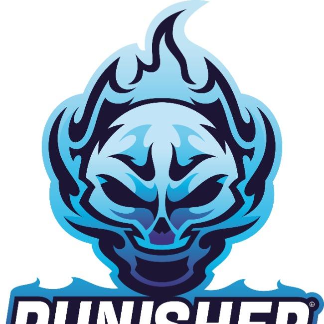 PUNISHER E-SPORTS