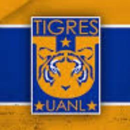 Tigres