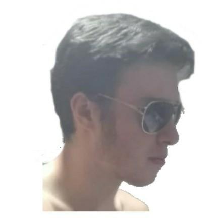 2nda edición del gran torneo de waifus