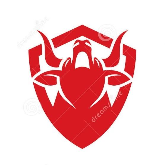 Toro AZ