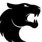 FURIA