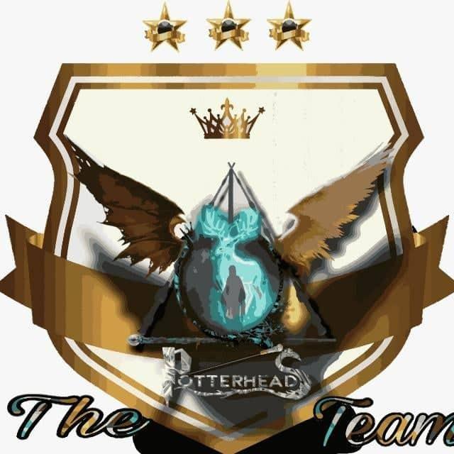 TPT's Fighters