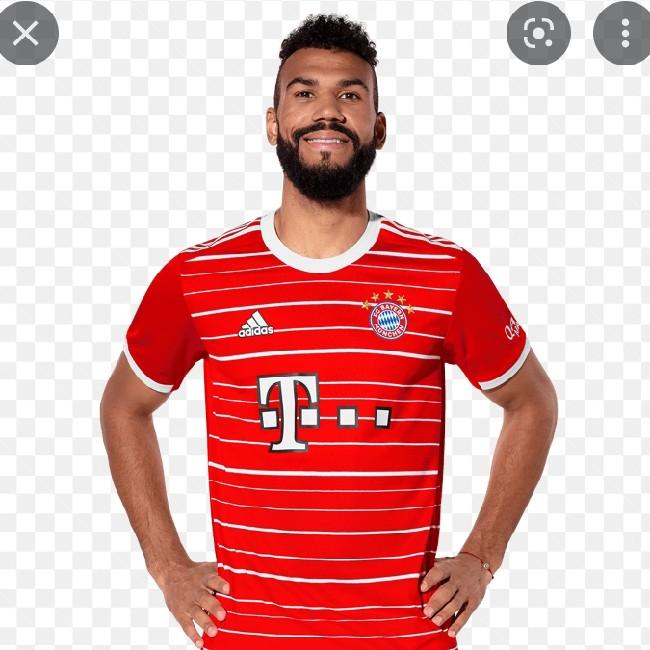 Eric Choupo-Moting