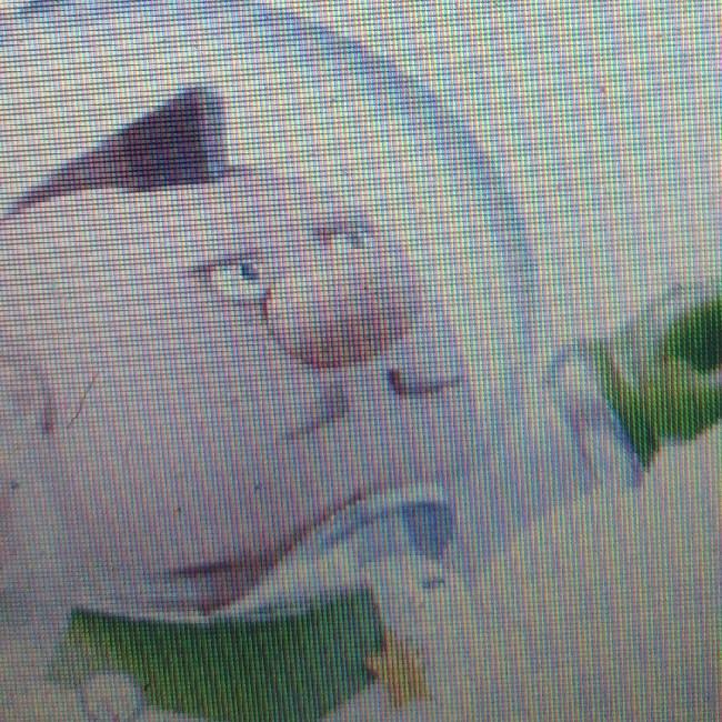 Charlie (Pikmin)