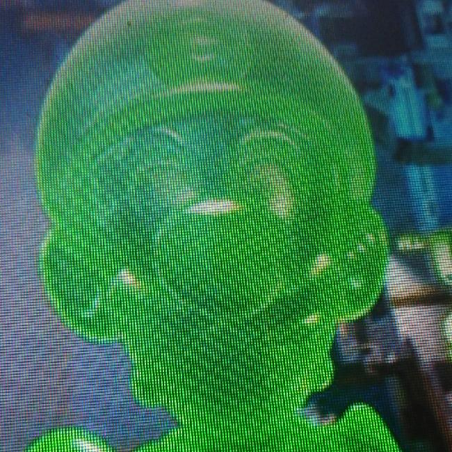 Gluigi
