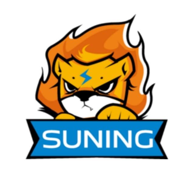 Team Suning