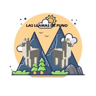 Las llamas de Puno