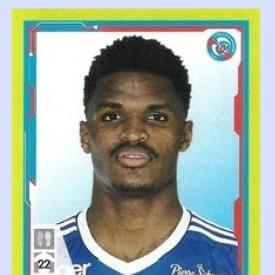 Gerzino nyamsi