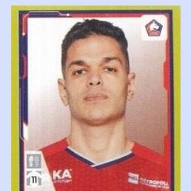 Hatem ben arfa