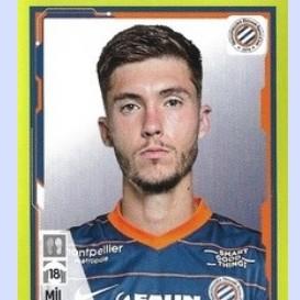 Lêo leroy