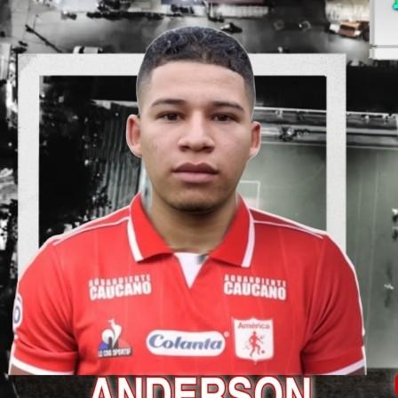 Anderson garcia - 13