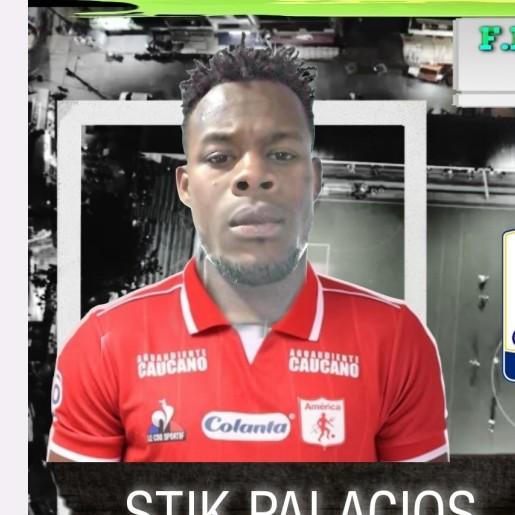 Stik palacios