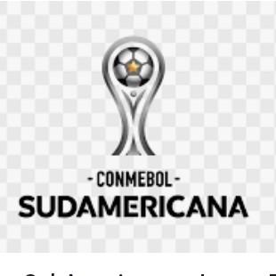 COPA SUDAMERICANA