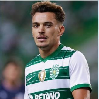 Pedro Gonçalves