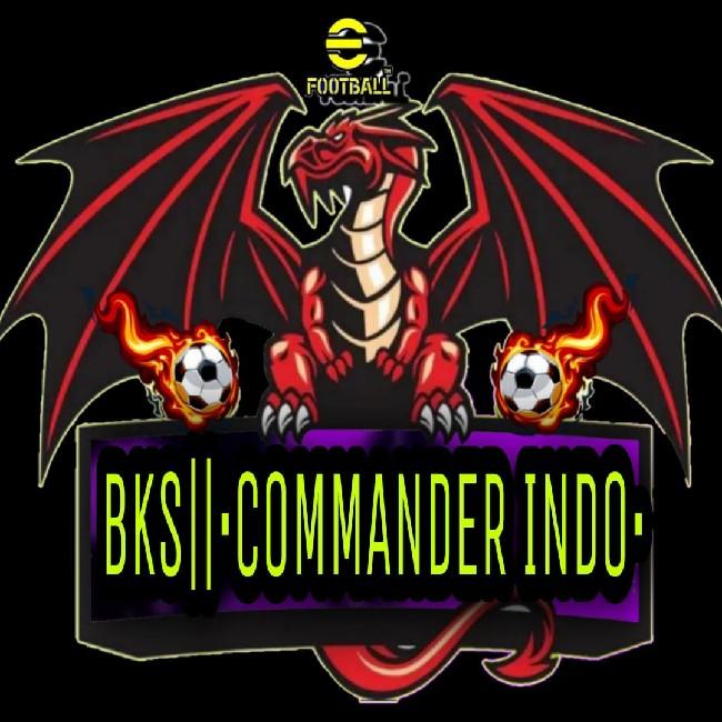 COMMANDER INDO B