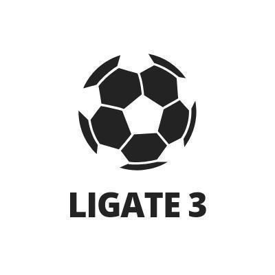 LIGATE 3 S-15