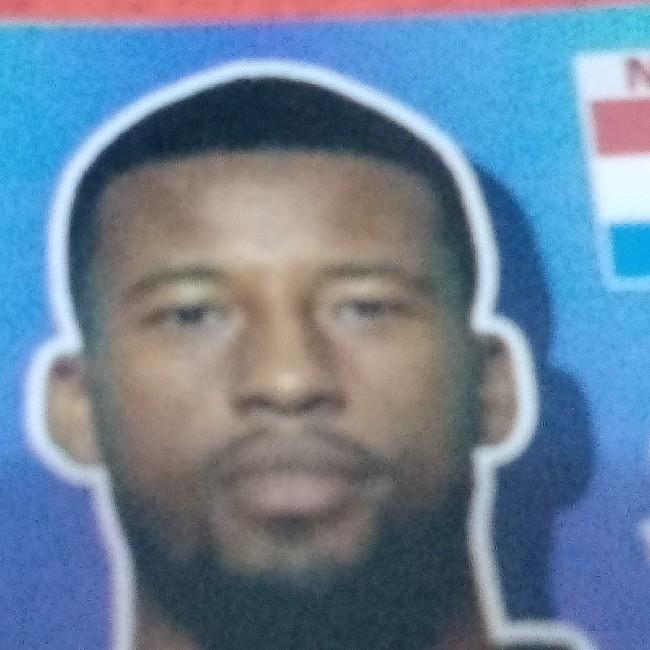 Wijnaldum