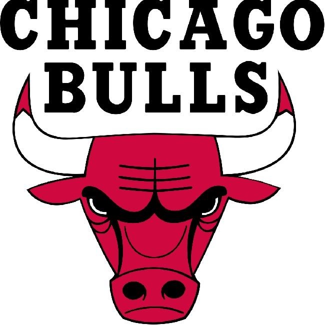 Chicago bulls