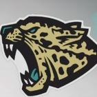 Jacksonville jaguars