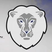 Toronto Polar Bears
