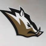 Tampa tapirs