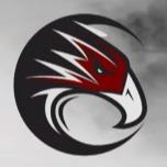 Atlanta falcons