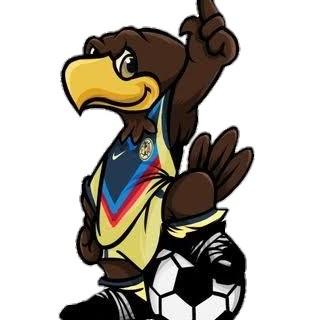TORNEO  LIBRE