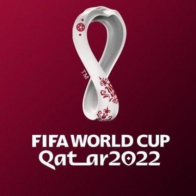 fifa word cup qatar 22 jr