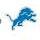 Detroit Lions