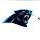 Carolina Panthers