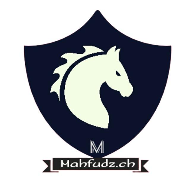 MAHFUDZ CH