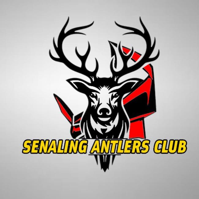 SK SENALING B