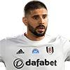Aleksandar Mitrovic