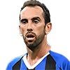 Diego Godin