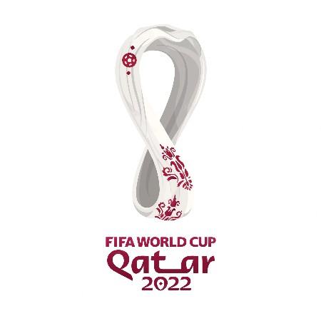 COPA MUNDIAL DE LA FIFA QATAR 2022