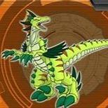 raptor